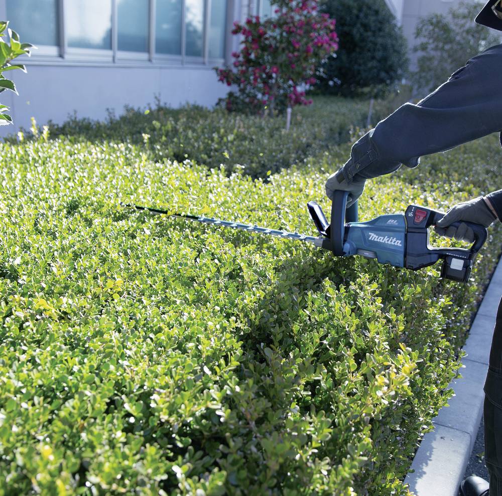 Eine Person schneidet eine Hecke mit einer blauen elektrischen Heckenschere, umgeben von grünen Pflanzen im Freien.