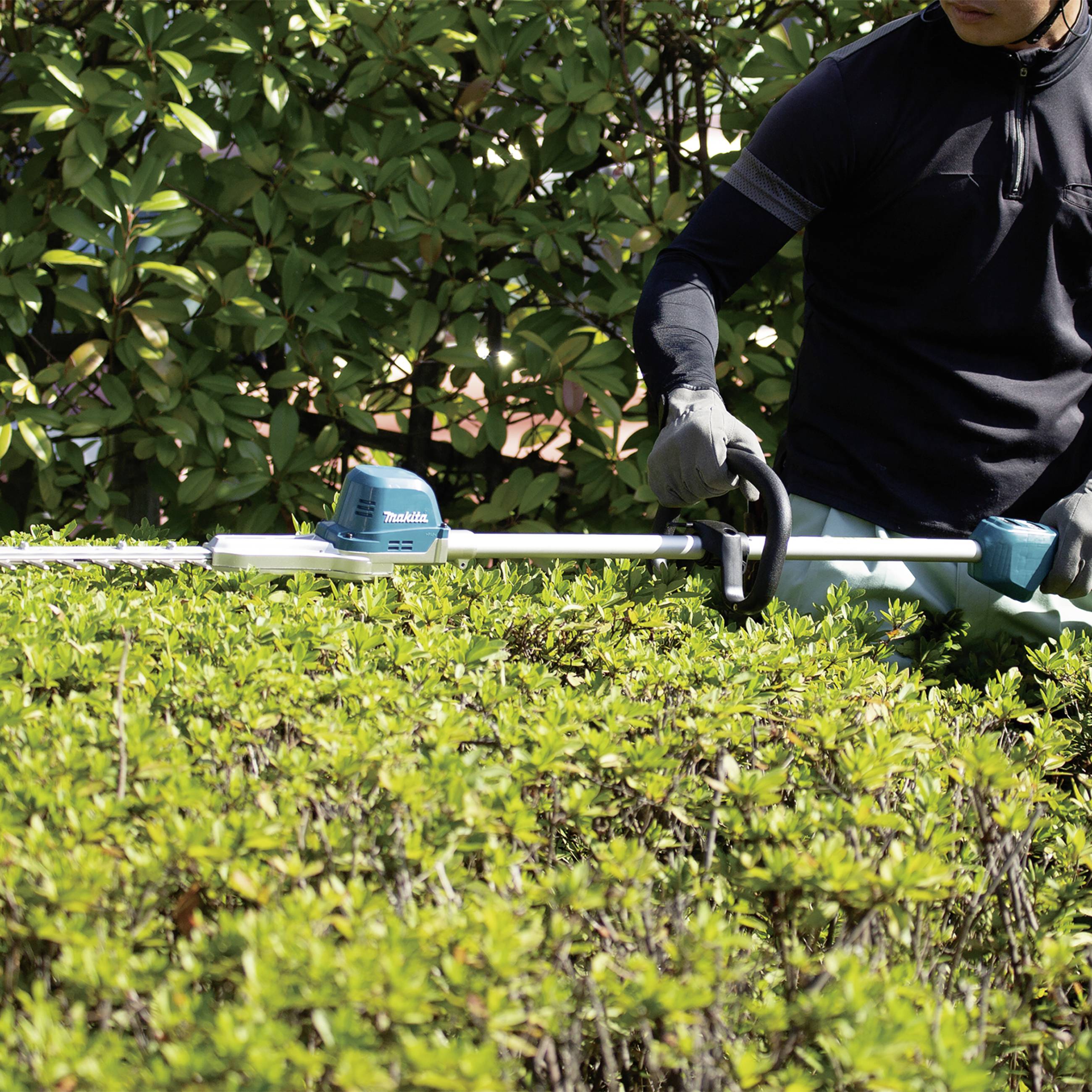Person mit schwarzem Hemd verwendet eine Heckenschere, um eine Hecke zu trimmen. Im Hintergrund sind grüne Blätter zu sehen.