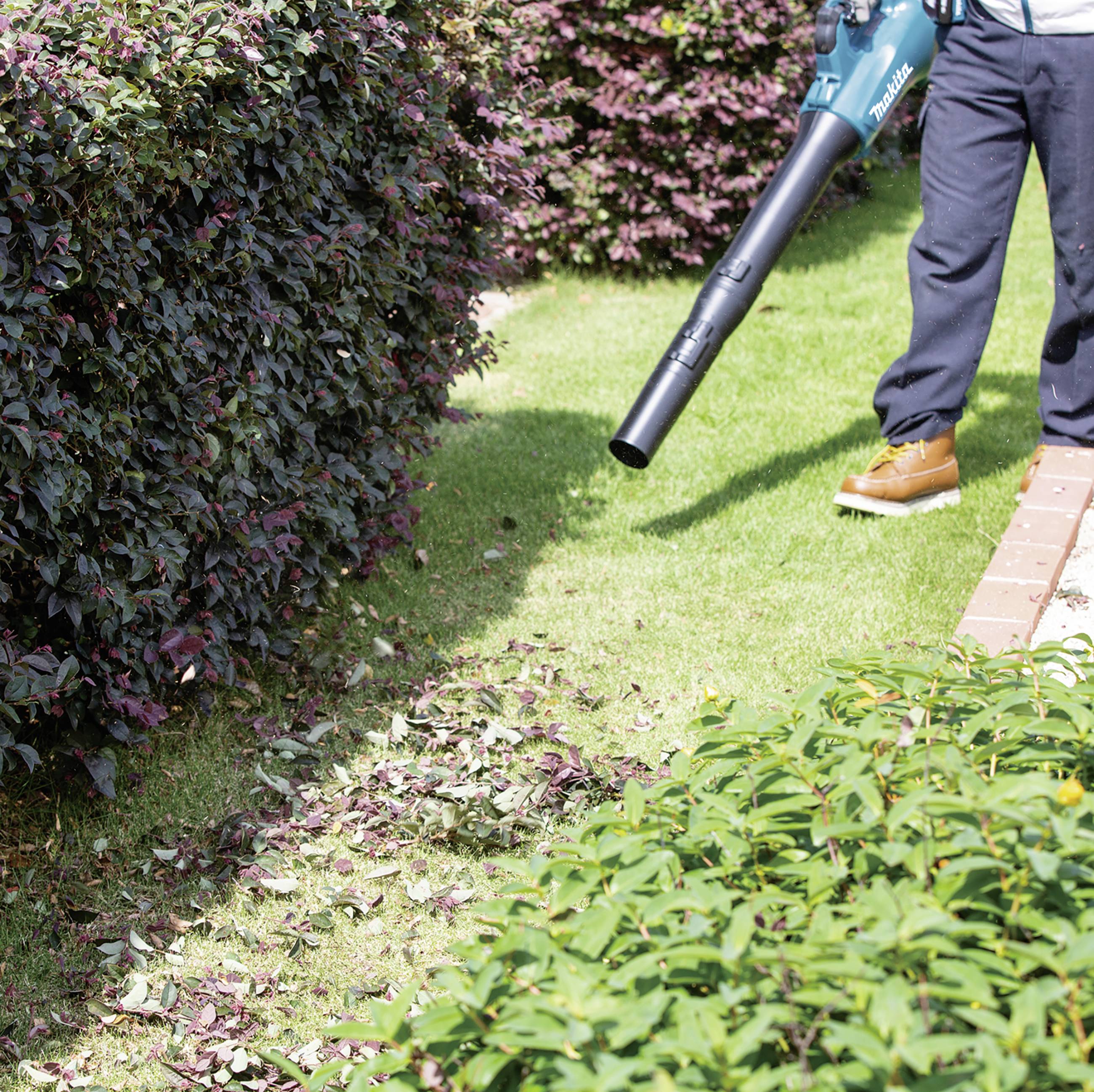 Eine Person benutzt einen Laubbläser, um einen Rasen zu reinigen. Der Garten ist von blühenden Sträuchern umgeben.