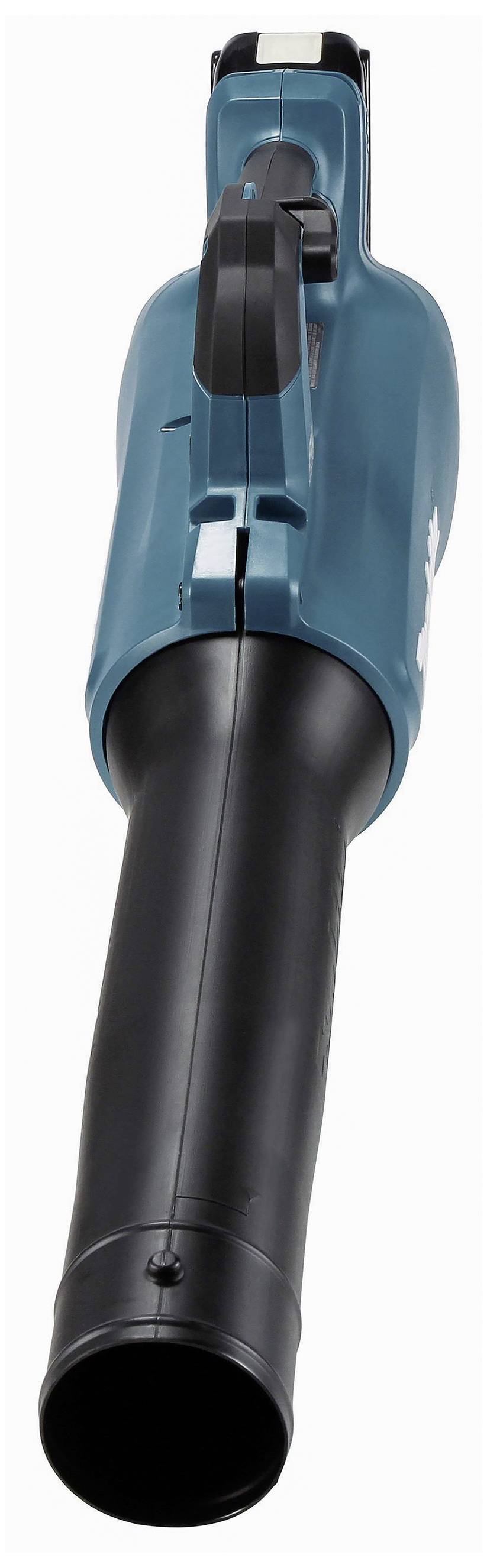 Laubbläser in Blau mit schwarzem Rohr, Ansicht von vorne. Gerät zum Entfernen von Laub im Garten oder auf Gehwegen.