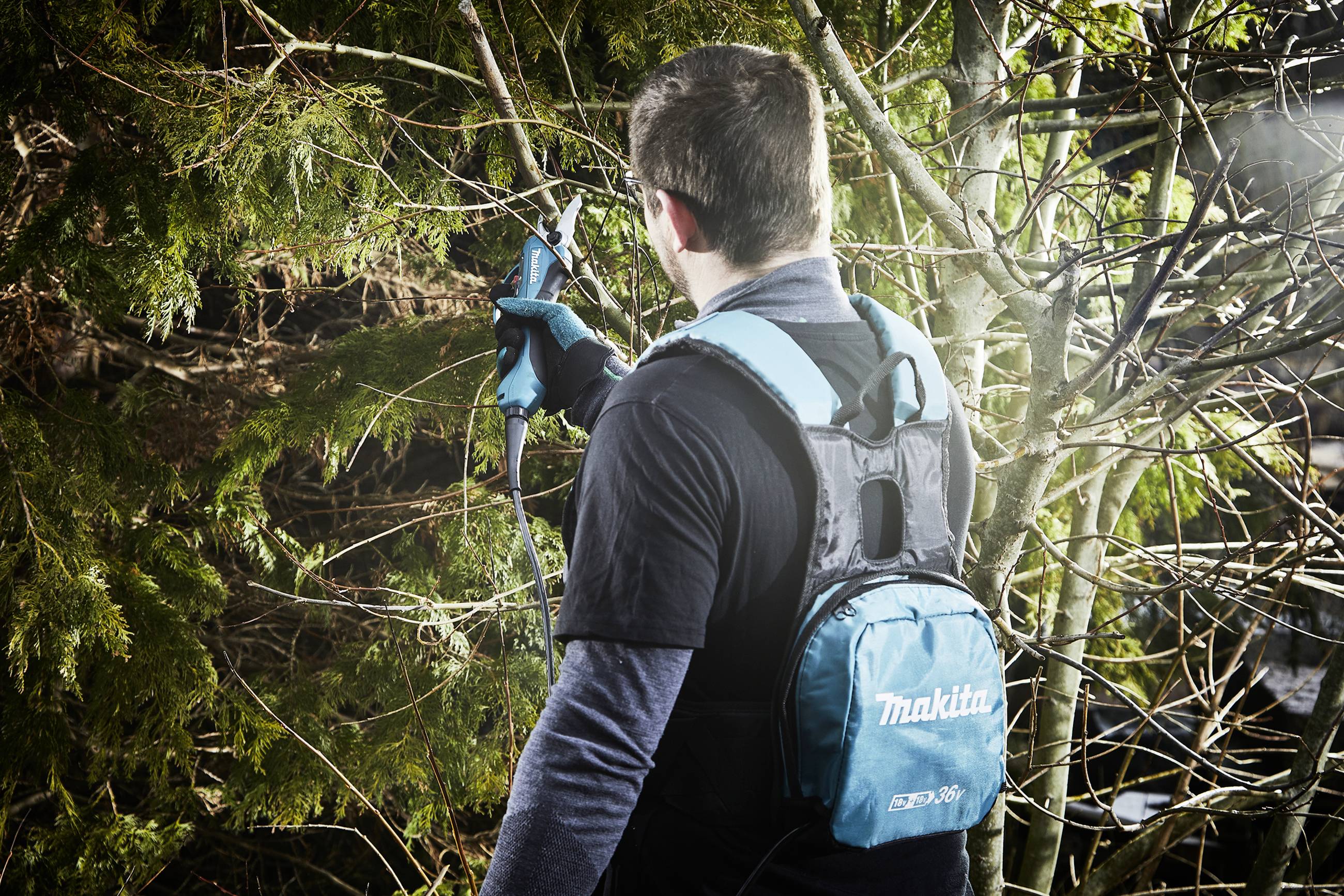 Eine Person schneidet mit einer elektrischen Astschere von Makita Äste an einem Baum. Sie trägt ein Akku-Paket auf dem Rücken.