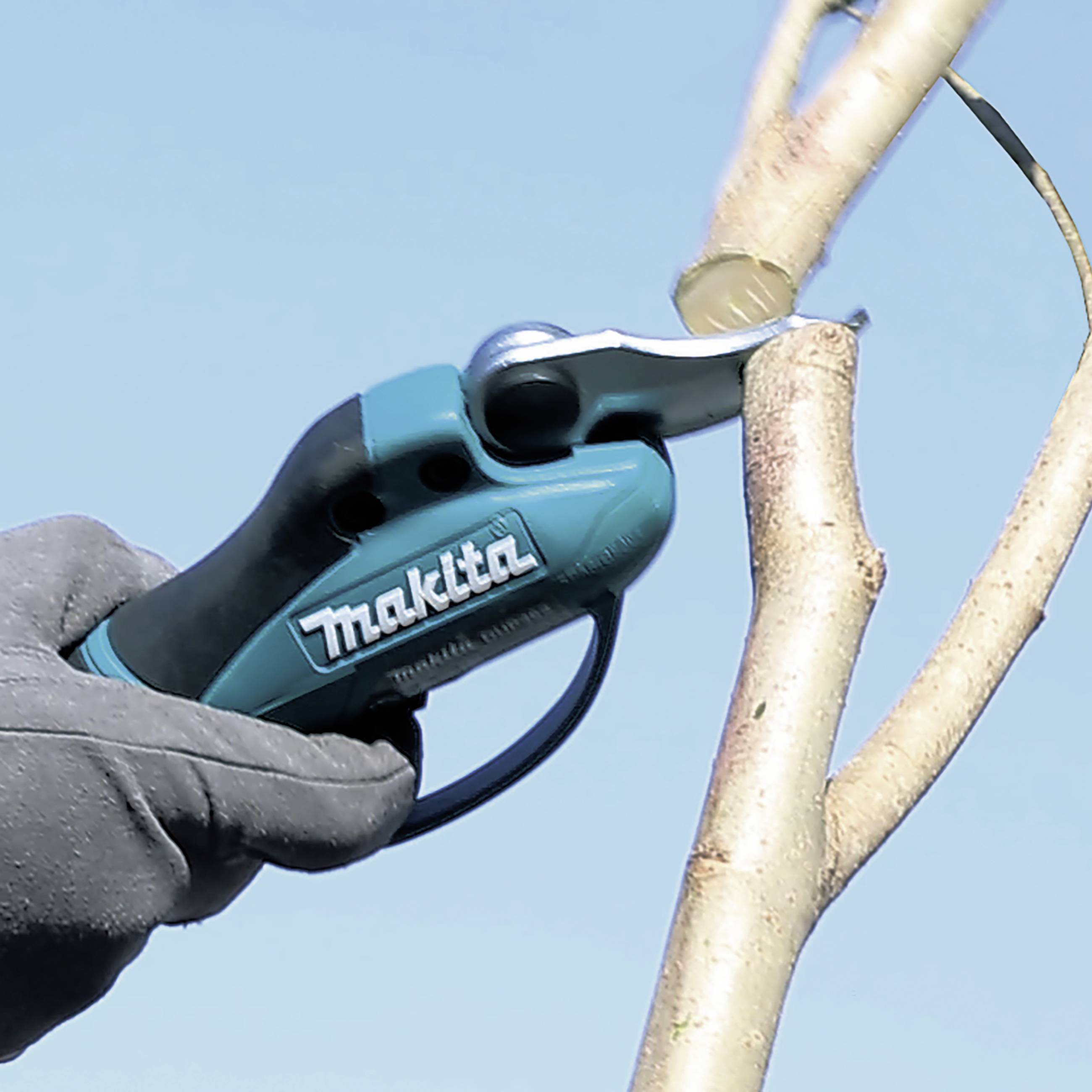 Eine Person schneidet einen Ast mit einer elektrischen Astsäge. Der Handschuh schützt die Hand vor Verletzungen.