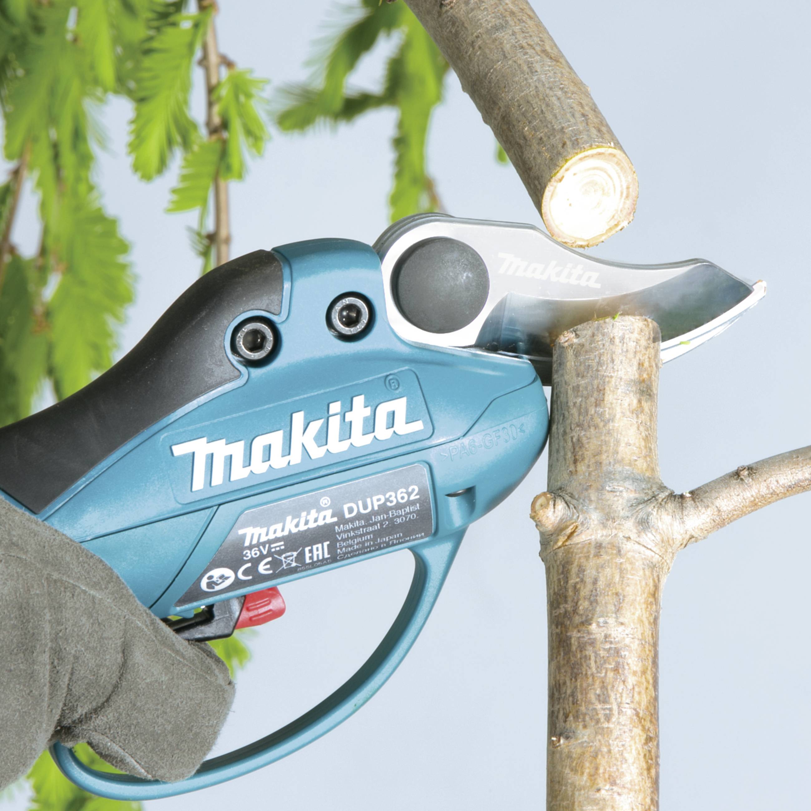 Eine elektrische Baumschere schneidet einen Ast. Im Hintergrund sind grüne Blätter zu sehen. Eine Hand hält die Schere.