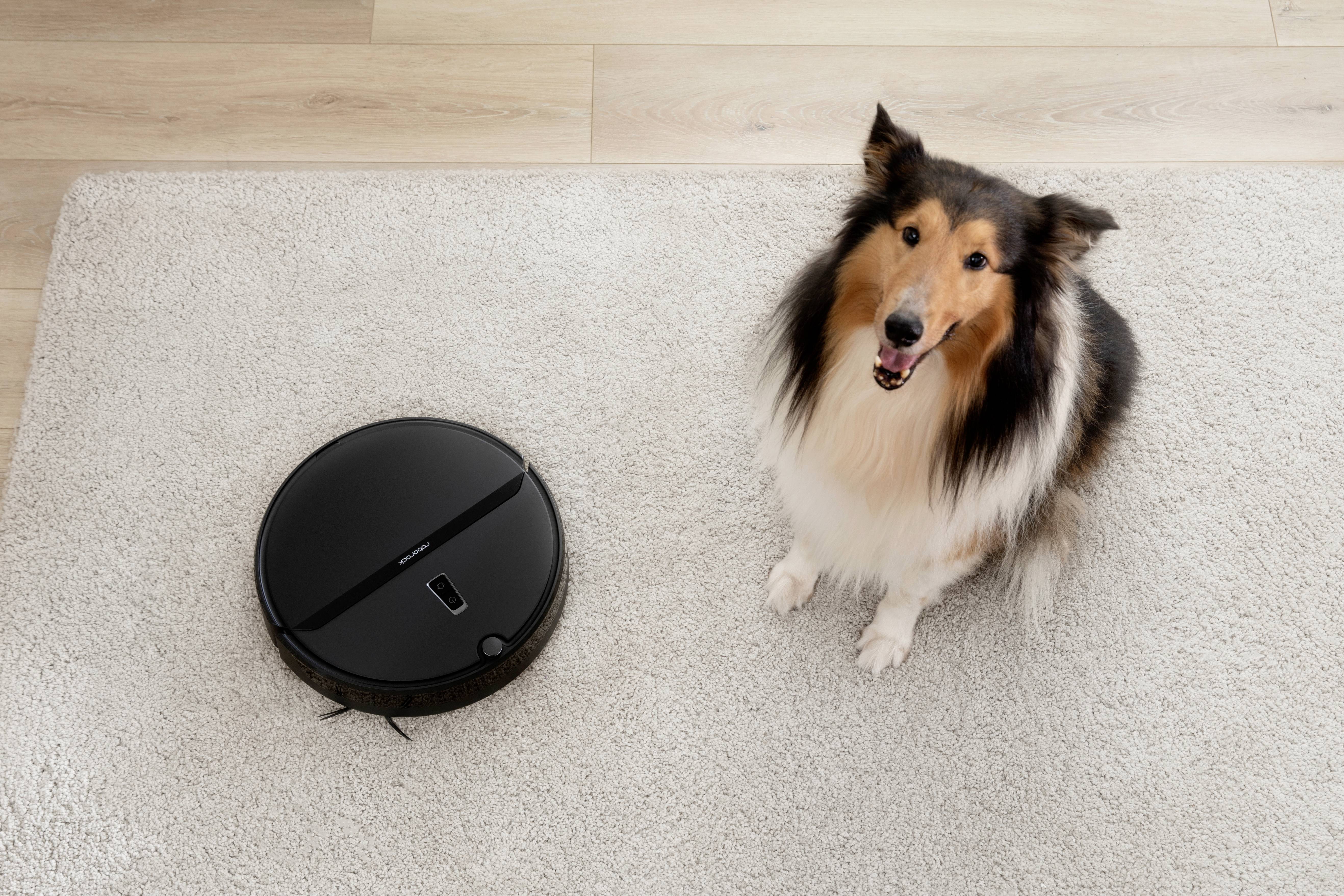 Roborock E4 black Saugroboter App gesteuert, Kompatibel mit Amazon Alexa, kompatibel mit Google Home