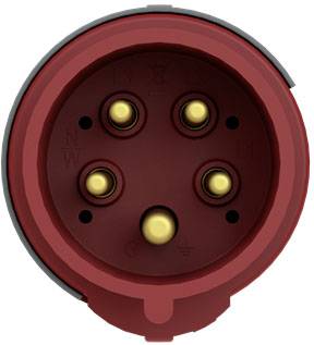 ABB 416EP6 2CMA101967R1000 CEE Stecker 16 A 5polig 1 St.