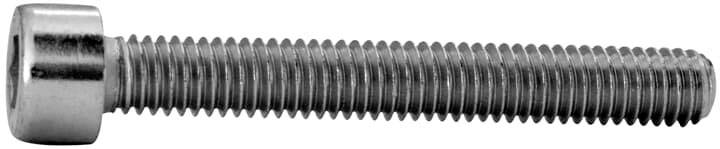 Striebel & John ZX259P20 8WH20250AF01 Zylinderschrauben 6mm 45mm Außensechskant Stahl verzinkt 20St.