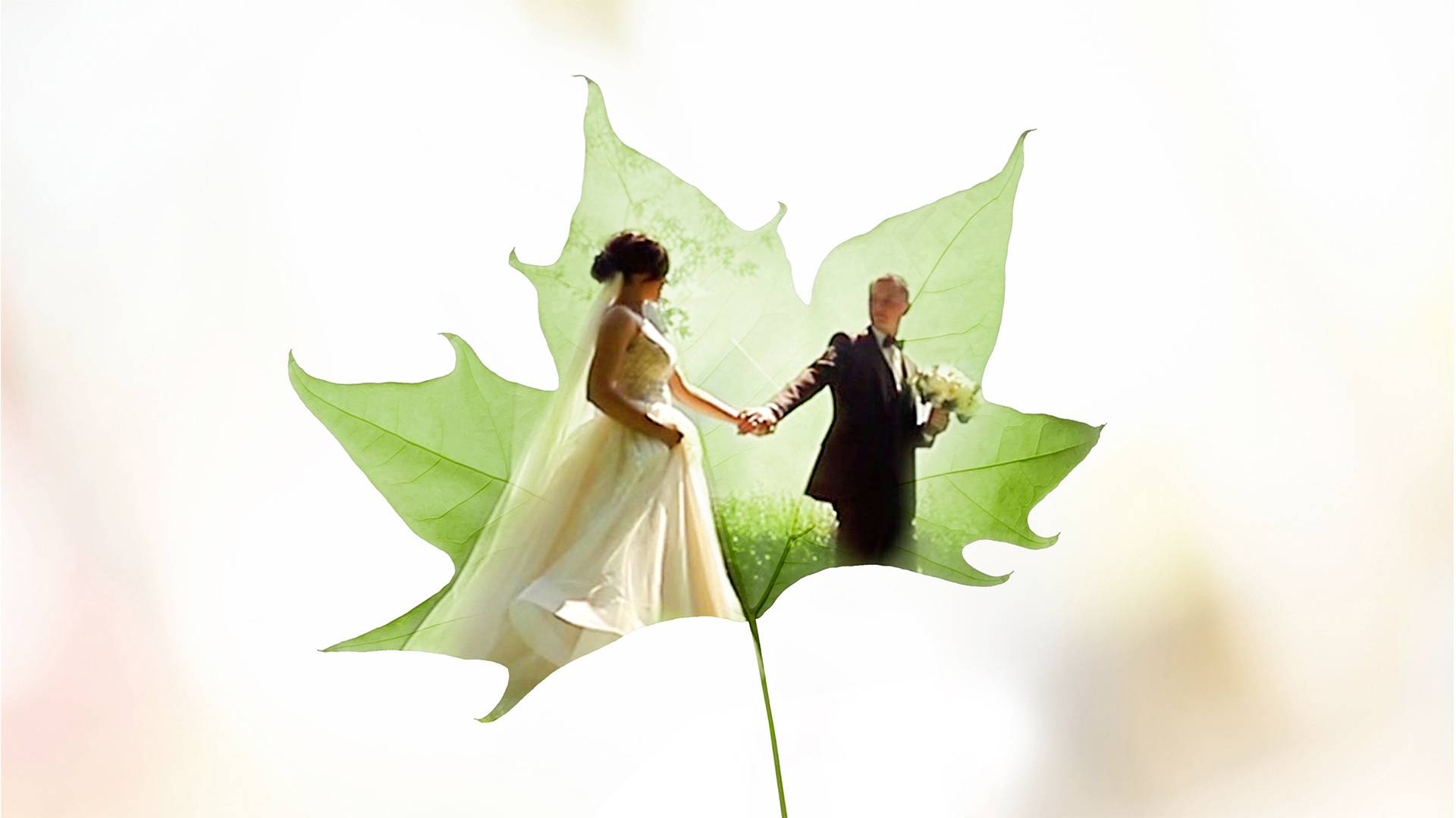 Adobe Premiere Elements 2021 Jahreslizenz, 1 Lizenz Windows, Mac Bildbearbeitung