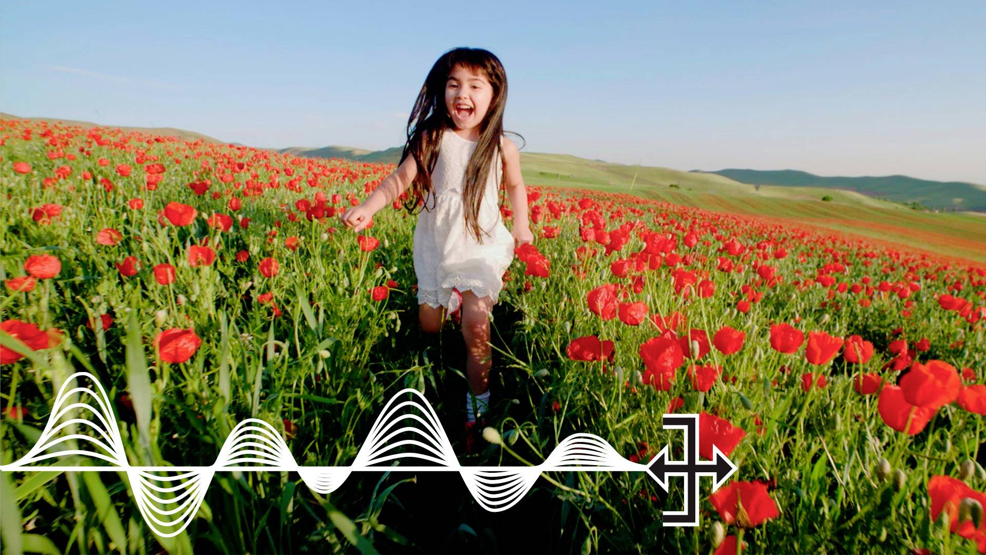 Adobe Premiere Elements 2021 Jahreslizenz, 1 Lizenz Windows, Mac Bildbearbeitung