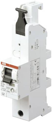Image of ABB 2CDS781001R5502 S751-E50L1 Hauptleitungsschutzschalter 1polig