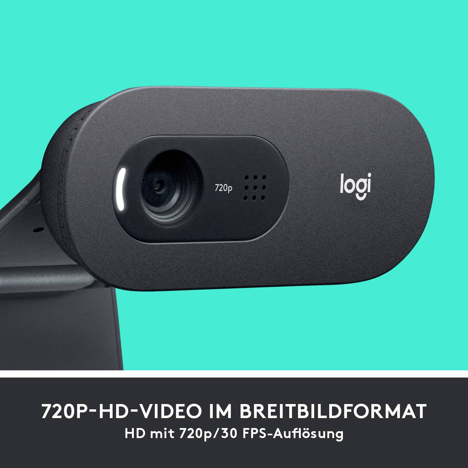 Logitech C505 HD-Webcam Klemm-Halterung