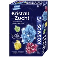 Kosmos Kristall-Zucht 657840 Experimentierkasten ab 10 Jahre Kosmos Kristall-Zucht 657840 Experimentierkasten ab 10 Jahre