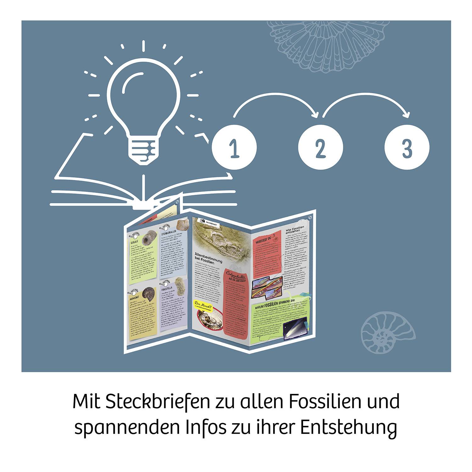 Kosmos 657918 Fossilien Experimente, Mitbring Experimente, Dinosaurier & Ausgrabungssets Experimentierkasten 7 - 12 Jahre