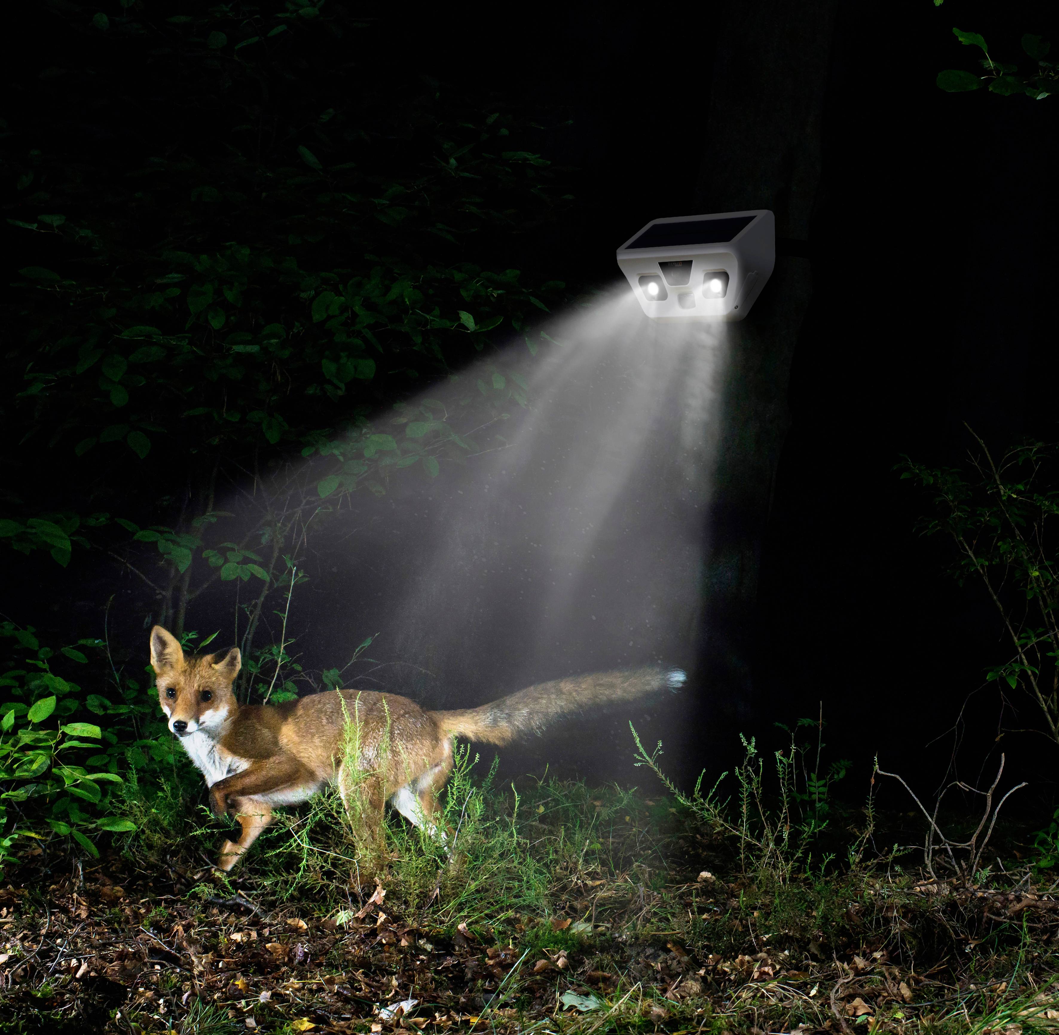 Technaxx TX-156 4903 IP-Überwachungskamera 1920 x 1080 Pixel