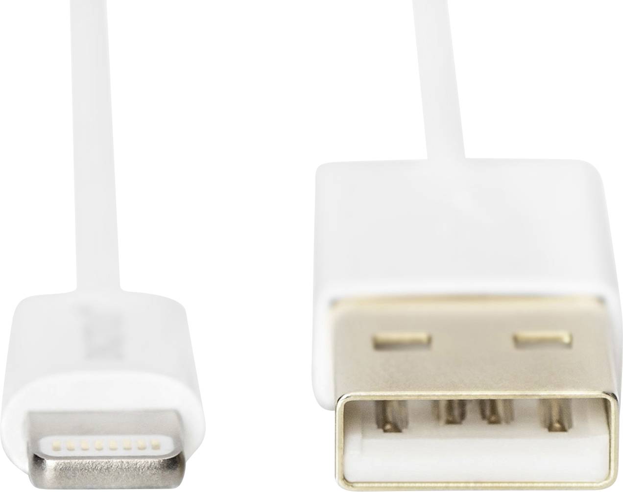 Ein weißes Kabel mit Lightning- und USB-Stecker, geeignet zum Laden und für Datenübertragungen zwischen Apple-Geräten und Computern.