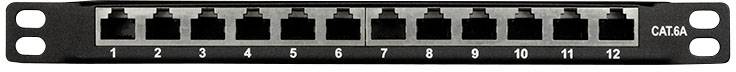 Schwarze CAKA Netzwerkkabel-Management-Panel mit zwölf nummerierten RJ45-Buchsen für die Organisation von Ethernet-Verbindungen.