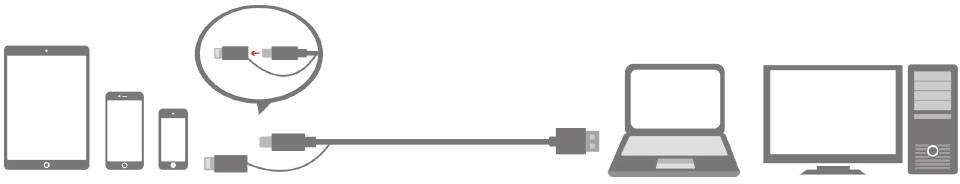 Schematische Darstellung der Kompatibilität von Geräten mit einem USB-Kabel: Tablet, Smartphone, Laptop, Desktop-Computer.