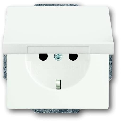 ABB 2CKA002018A1494 Geräteeinsatz IP20 Verkehrsweiß, Weiß