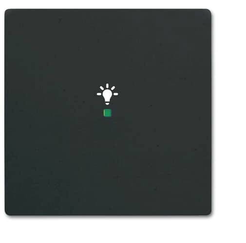 Busch-Jaeger 1fach Abdeckung Symbolwippe "Licht" free@home Schwarz, Tiefschwarz (RAL 9005) 2CKA006220A0499 1St.