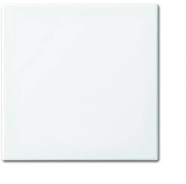 Busch-Jaeger Abdeckung SAT-Steckdose Platin 2CKA001753A1126 1St.