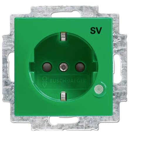 Grüne Steckdose mit Erdungsloch und zwei Kontaktöffnungen, montiert auf einer Metallplatte, markiert mit 'SV'.