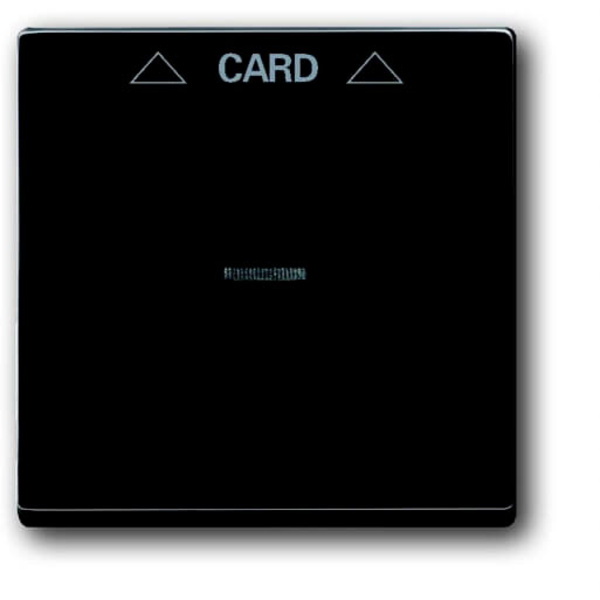 Busch-Jaeger Abdeckung Cardschalter Future Linear Schwarz-Grau, Anthrazit 2CKA001710A3639