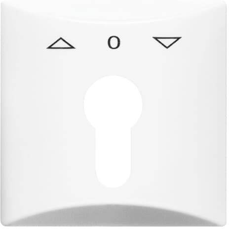 Busch-Jaeger Abdeckung Schlüsselschalter, Schlüsseltaster Allwetter 44 (IP44) Weiß, Reinweiß (RAL 9010) 2CKA001710A1829 1St.