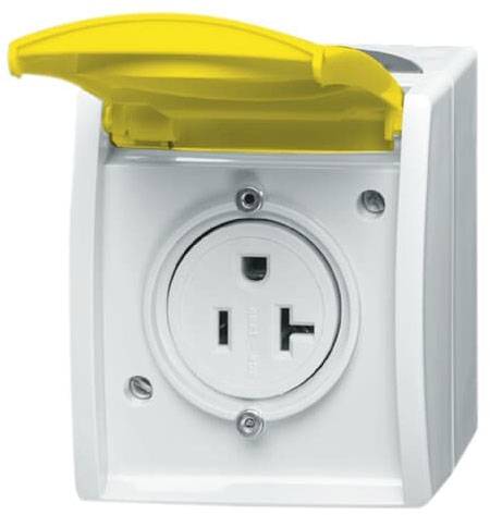 Busch-Jaeger Einsatz Nema-Steckdose Zinkgelb, Gelb 2CKA002124A0024 1St.