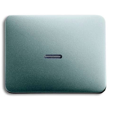 Busch-Jaeger Abdeckung Ausschalter, Wechselschalter, Kreuzschalter, Taster Titan 2CKA001751A2835 1St.