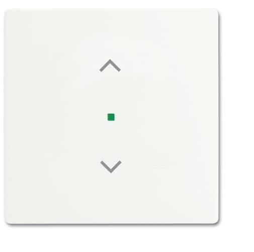 Busch-Jaeger 1fach Abdeckung free@home Weiß, Verkehrsweiß 2CKA006220A0483 1 St.