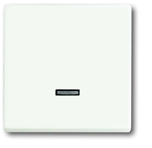 Weiße Lichtschalterplatte mit kleinem schwarzen vertikalen Streifen in der Mitte, vor weißem Hintergrund.