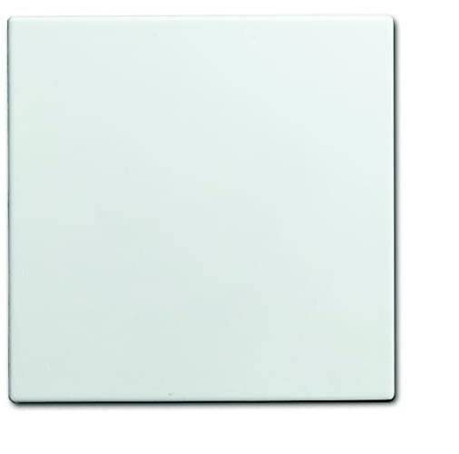 ABB Abdeckung Blindabdeckung Weiß, Reinweiß (RAL 9010) 2CKA001582A0401 1 St.