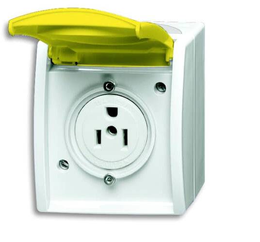 Busch-Jaeger Einsatz Nema-Steckdose Zinkgelb, Gelb 2CKA002124A0025 1St.