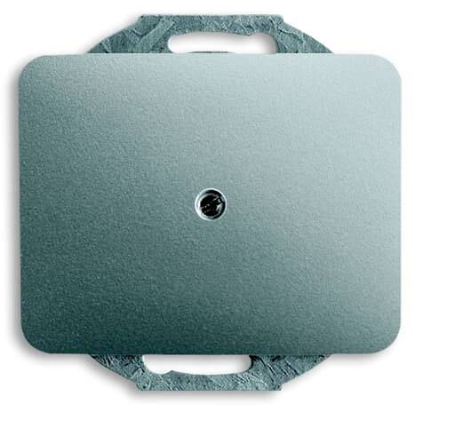 Busch-Jaeger Abdeckung Titan 2CKA001710A3342 1St.