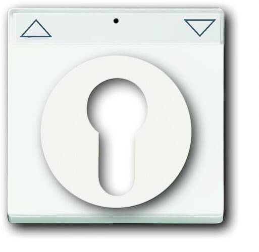 Busch-Jaeger Abdeckung Schlüsselschalter, Schlüsseltaster Future Linear Weiß, Verkehrsweiß 2CKA001710A3925 1St.