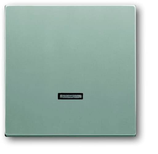 Busch-Jaeger 6543-83-101 2CKA006599A2887 Eingangsmodul Ohne Aluminium, Weißaluminium (RAL 9006) 1St.