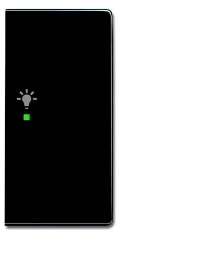 Busch-Jaeger 2fach Abdeckung Symbolwippe "Licht" Carat Anthrazit, Schwarz-Grau 2CKA006220A0062 1St.