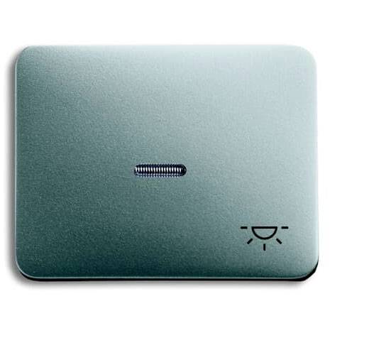 Busch-Jaeger Abdeckung Symbolwippe "Licht" Alpha exclusiv, Alpha Nea Titan 2CKA001751A2839 1St.