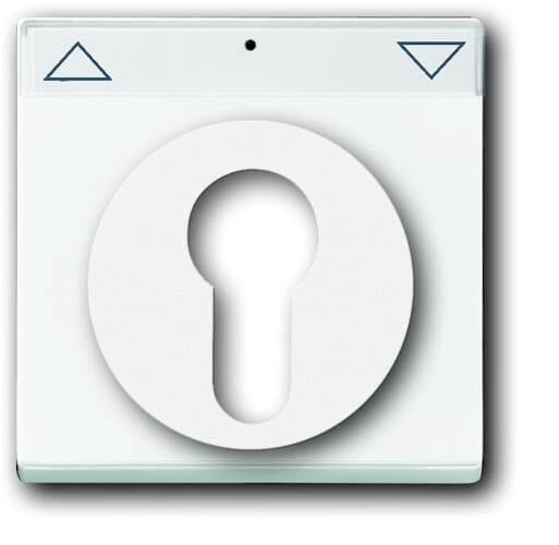 Busch-Jaeger Abdeckung Schlüsselschalter, Schlüsseltaster Axcent Weiß, Verkehrsweiß 2CKA001710A3175 1St.