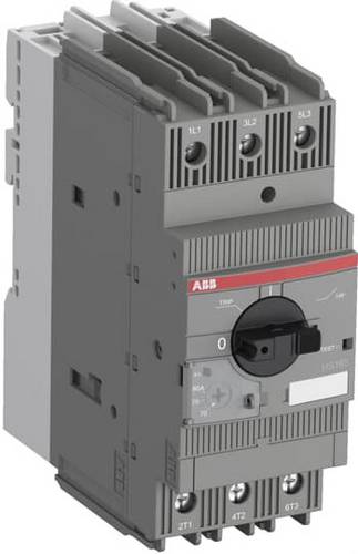 ABB 1SAM451000R1018 MS165-73 Schutzschalter 1St.