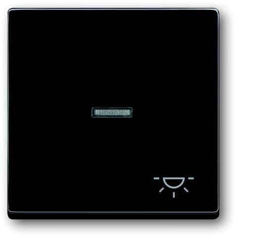 Busch-Jaeger Abdeckung Symbolwippe "Licht" Busch-axcent, Carat, Future Linear, Dynasty Anthrazit, Schwarz-Grau 2CKA001751A2931