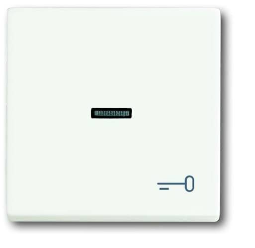 Busch-Jaeger Abdeckung Symbolwippe "Schlüssel" Future Linear Weiß, Verkehrsweiß 2CKA001751A3032 1St.