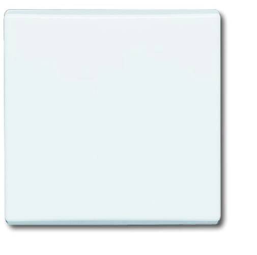 Busch-Jaeger Abdeckung Ausschalter, Wechselschalter, Kreuzschalter, Taster Allwetter 44 (IP44) Weiß, Reinweiß (RAL 9010) 2CKA001731A1593 1 St.