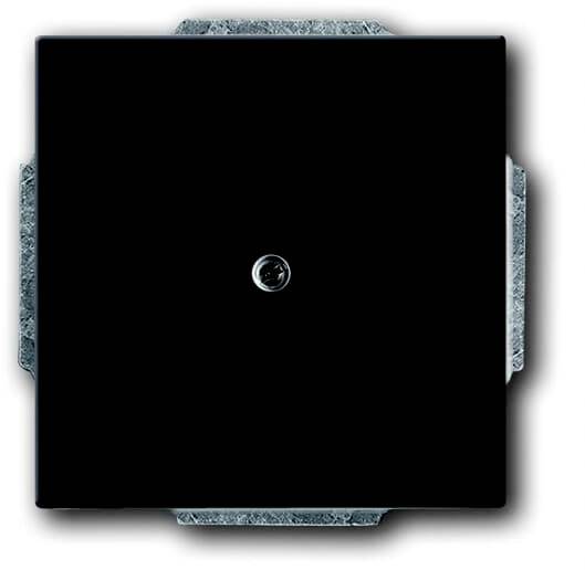 Busch-Jaeger Abdeckung Tiefschwarz (RAL 9005), Schwarz 2CKA001710A3900 1 St.