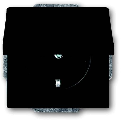 ABB 2CKA002018A1495 Geräteeinsatz IP20 Tiefschwarz (RAL 9005), Schwarz