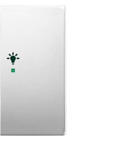 Busch-Jaeger 2fach Abdeckung Symbolwippe "Licht" free@home Edelstahl 2CKA006220A0424 1St.