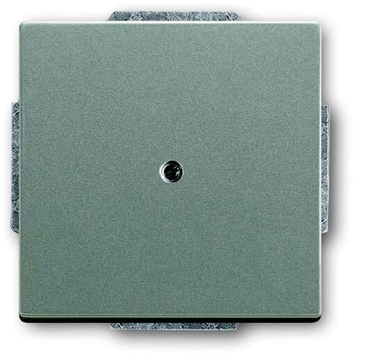 ABB Abdeckung Blindabdeckung Grau 2CKA001710A3843 1 St.