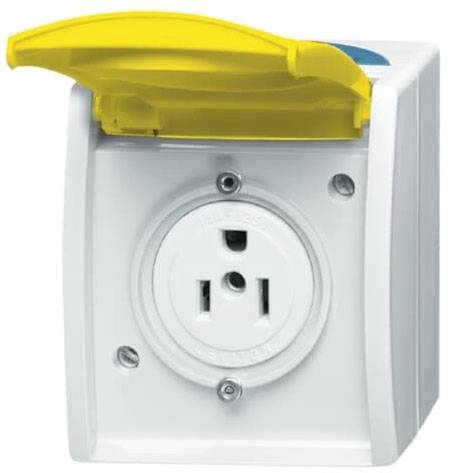 Busch-Jaeger Einsatz Nema-Steckdose Zinkgelb, Gelb 2CKA002124A0023 1St.