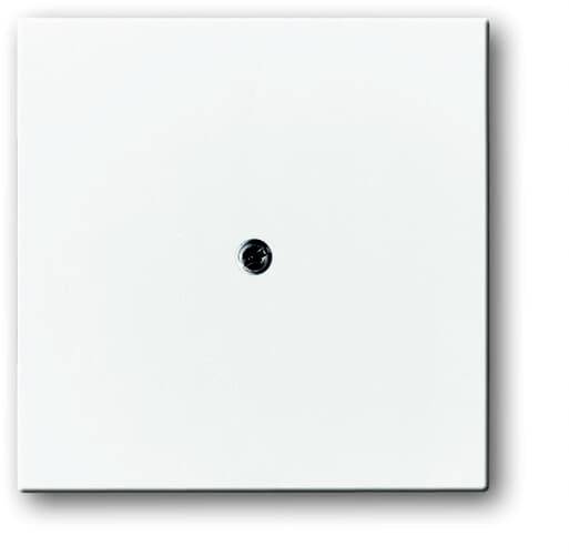 Busch-Jaeger Abdeckung Weiß, Verkehrsweiß 2CKA001710A3173 1 St.