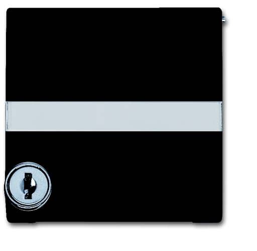 Busch-Jaeger Abdeckung Allwetter 44 (IP44) Anthrazit, Schwarz-Grau 2CKA001710A3794 1St.