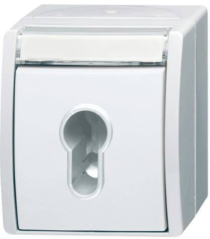 ABB 2CKA001101A0925 2733 SLW-54 Schlüssel IP44 1St.